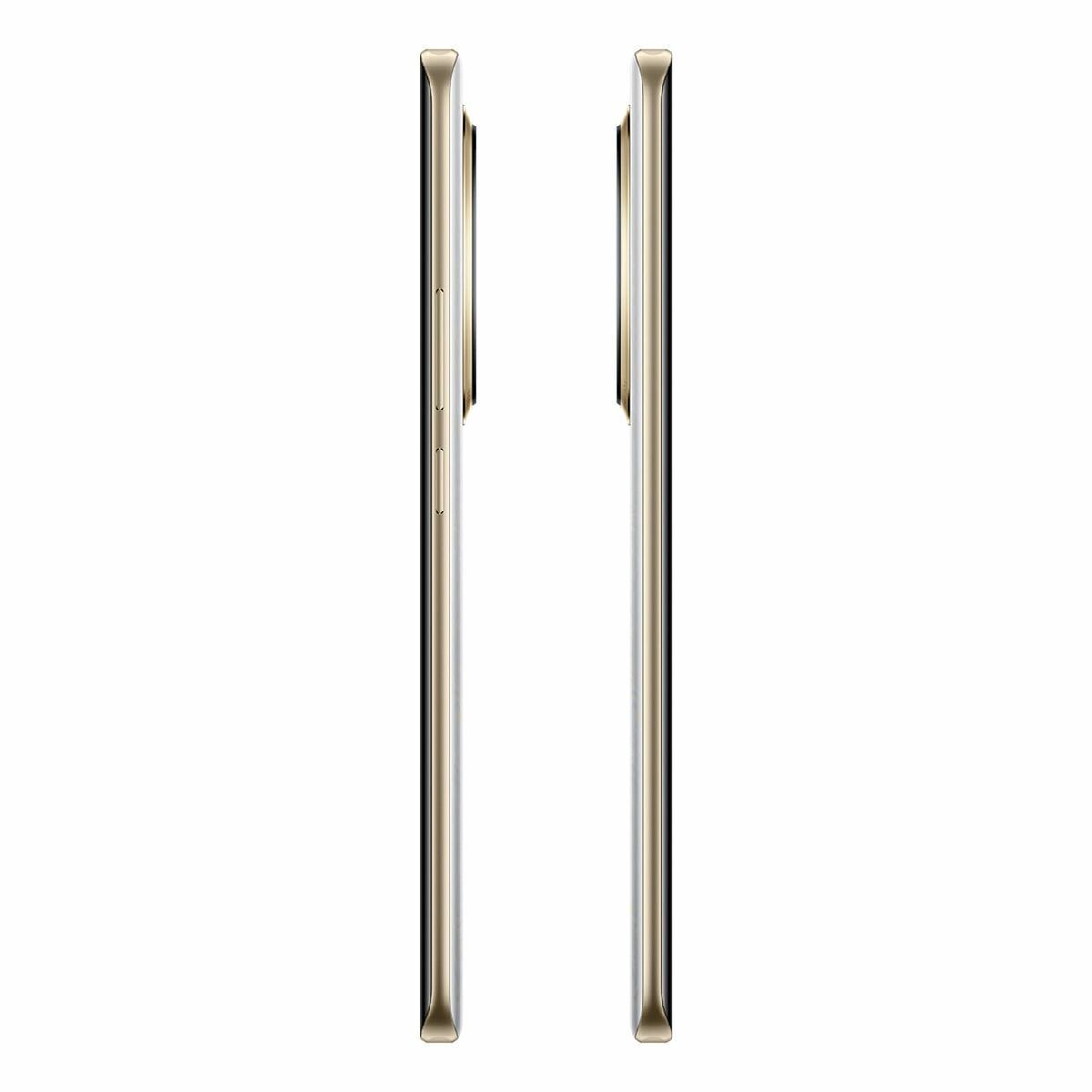 M0806018_15